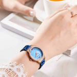 MINI FOCUS MF0226L.04 - Slika 2